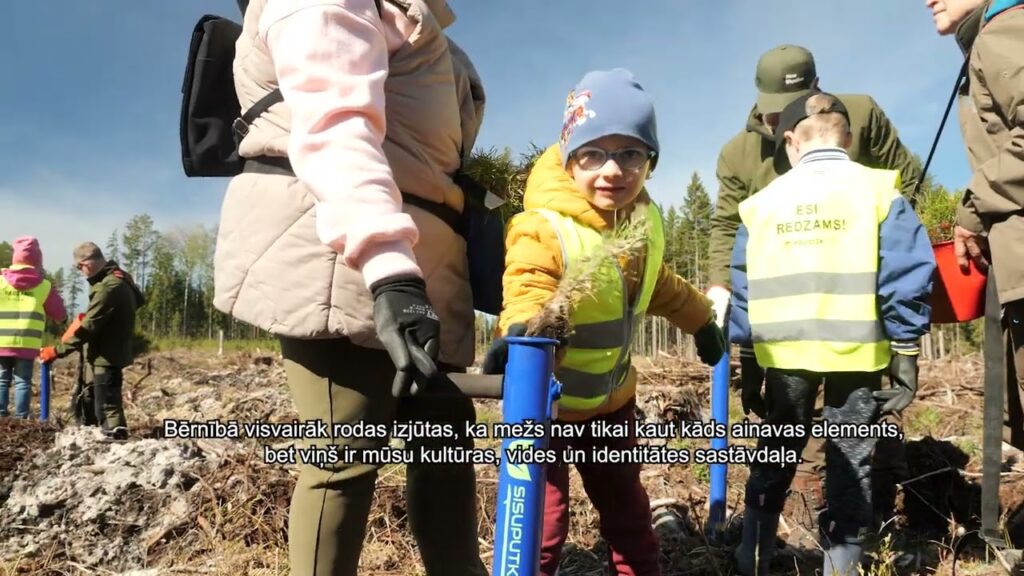 Pirmsskolas vecuma bērni stāda mežu Stendes apkārtnē